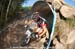 mtbworlds