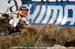 mtbworlds
