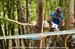 mtbworlds