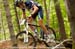 mtbworlds