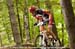mtbworlds