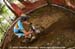 mtbworlds
