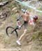 MTB World Championships