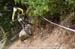 mtbworlds