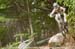 mtbworlds