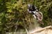 mtbworlds