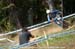 mtbworlds