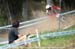 mtbworlds