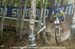 mtbworlds