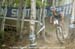 mtbworlds