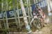 mtbworlds