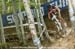 mtbworlds