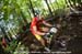 mtbworlds