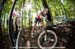 mtbworlds