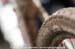 mtbworlds