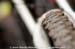 mtbworlds