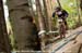 mtbworlds