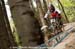 mtbworlds