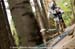 mtbworlds