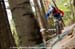 mtbworlds