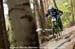 mtbworlds