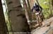 mtbworlds