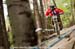 mtbworlds