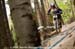 mtbworlds