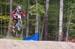 mtbworlds