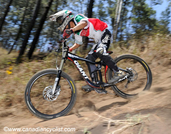 2010 Pan Am Championships
