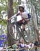2010 Pan Am Championships