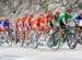 Para-cycling World Championships