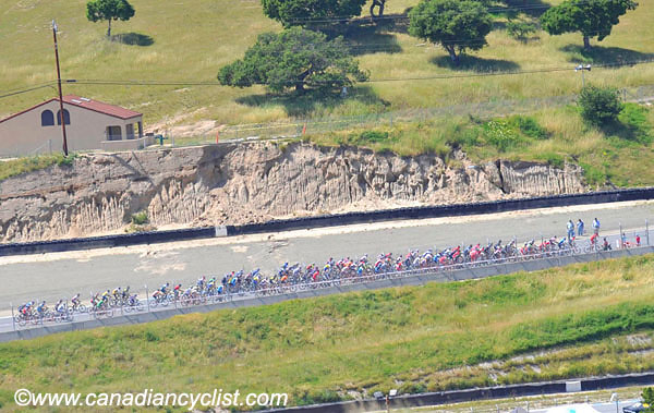 2010 Sea Otter