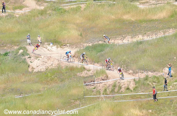 2010 Sea Otter
