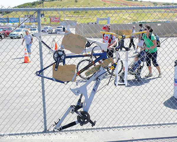 2010 Sea Otter