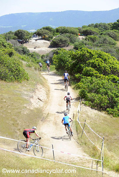 2010 Sea Otter