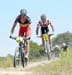 2010 Sea Otter