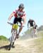 2010 Sea Otter