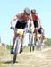 2010 Sea Otter