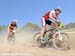 2010 Sea Otter