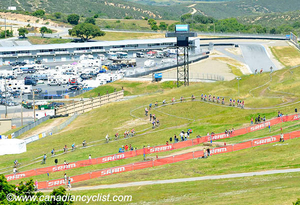 2010 Sea Otter