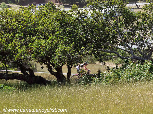 2010 Sea Otter