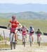 2010 Sea Otter