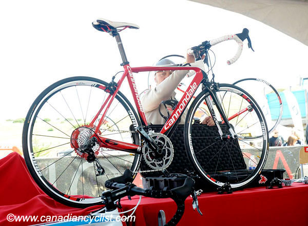 2010 Sea Otter