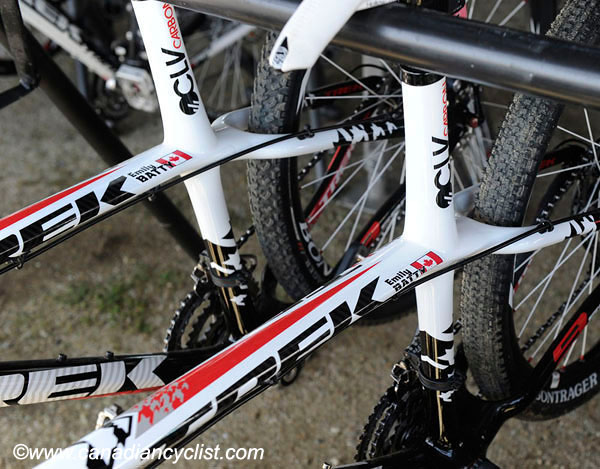 2010 Sea Otter