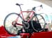 2010 Sea Otter