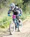 2010 Sea Otter