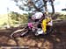 2010 Sea Otter