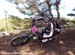 2010 Sea Otter