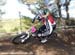 2010 Sea Otter
